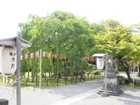 足羽神社の写真・動画_image_276790