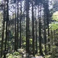 御岩神社の写真・動画_image_277826