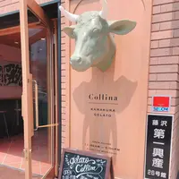 Collina kamakura gelatoの写真・動画_image_278601
