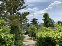 法隆寺西円堂の写真・動画_image_278977