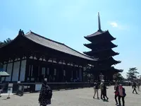 興福寺 東金堂の写真・動画_image_279703