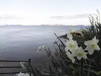 赤穂御崎の写真・動画_image_280245