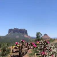 ホーリークロスチャペルの写真・動画_image_283284