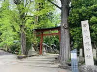 紙祖神岡太神社・大滝神社の写真・動画_image_283850