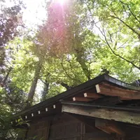 穂高神社の写真・動画_image_285970