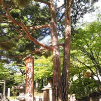 四柱神社の写真・動画_image_286085