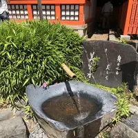 八坂神社の写真・動画_image_286680