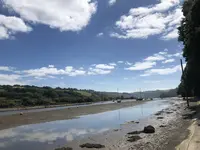 Tidal Rdの写真・動画_image_289134