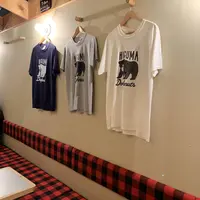 ヒグマドーナッツ （HIGUMA Doughnuts）の写真・動画_image_291697