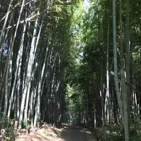 姫丸稲荷大明神の写真・動画_image_292569