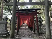 姫丸稲荷大明神の写真・動画_image_292570