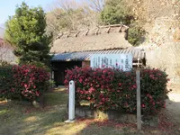 太子山公園の写真・動画_image_293430