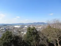 太子山公園の写真・動画_image_293434
