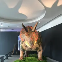 福井県立恐竜博物館の写真・動画_image_294176