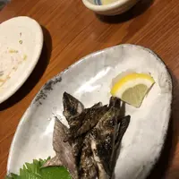 土佐のいごっそう 亀次の写真・動画_image_303618