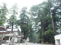 白山比咩神社の写真・動画_image_304009