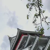 熱海城の写真・動画_image_304208