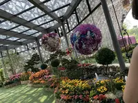 ガーデンズ・バイ・ザ・ベイの写真・動画_image_305937