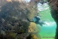 城原海岸の写真・動画_image_306222