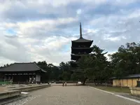 興福寺五重塔の写真・動画_image_306905