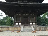 興福寺五重塔の写真・動画_image_306906
