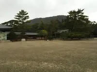 橿原神宮の写真・動画_image_309516
