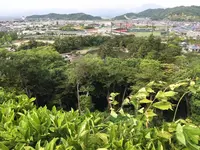 彦根城の写真・動画_image_309974