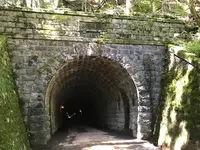 旧天城トンネルの写真・動画_image_311068