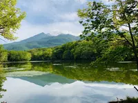 知床五湖の写真・動画_image_311441