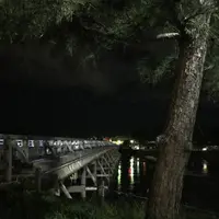 渡月橋の写真・動画_image_312191