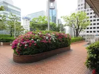 大阪駅前第１ビルの写真・動画_image_313039