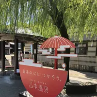 加賀　山中温泉　菊の湯の写真・動画_image_313453