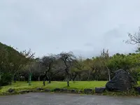 備前焼ギャラリー山麓窯の写真・動画_image_316127
