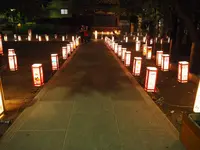 浅草神社（三社さま）の写真・動画_image_316280