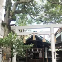 高松神明神社の写真・動画_image_318186