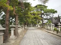 長浜八幡宮の写真・動画_image_318282