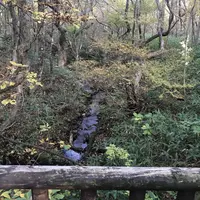 那須平成の森の写真・動画_image_320385