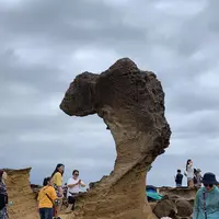 野柳地質公園の写真・動画_image_322131