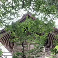 須佐神社の写真・動画_image_322514