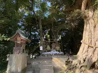揖夜神社の写真・動画_image_323213