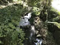 横浜自然観察の森の写真・動画_image_323303