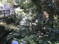 横浜自然観察の森の写真・動画_image_323304
