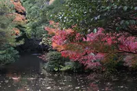 尾山神社の写真・動画_image_327648