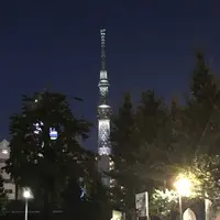 浅草寺の写真・動画_image_330421