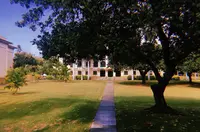 ハワイ大学 - マノアの写真・動画_image_330427