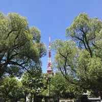 東京タワーの写真・動画_image_330459
