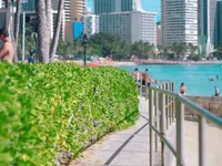 Waikiki Beach（ワイキキ・ビーチ）の写真・動画_image_330466