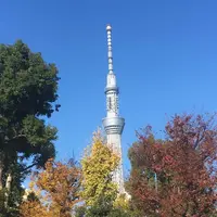 亀戸天神社の写真・動画_image_330912