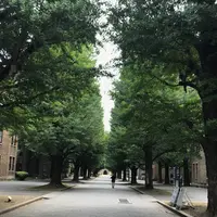 東京大学の写真・動画_image_331273