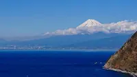 煌めきの丘の写真・動画_image_335138